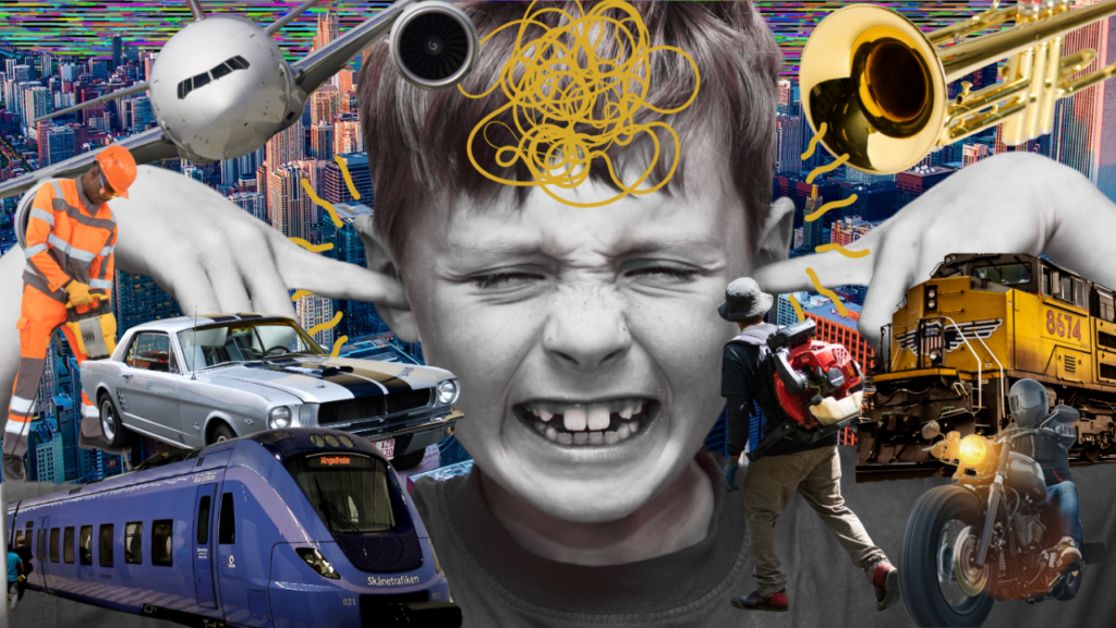 생활 속 소음이 편안함과 환경 만족도에 미치는 영향